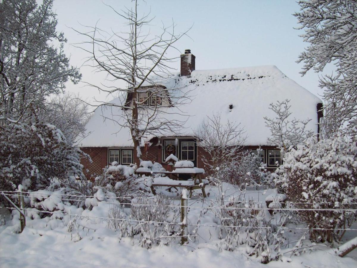 Anton'S Erfje Villa Dalfsen Dış mekan fotoğraf